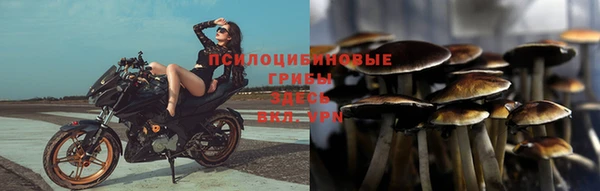 PSILOCYBIN Абинск