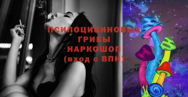 PSILOCYBIN Абинск