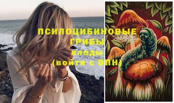 спайс Абаза
