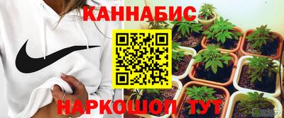 a pvp Гусев