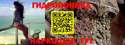 a pvp Гусев