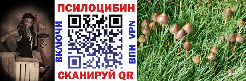 Галлюциногенные грибы Cubensis Кимовск