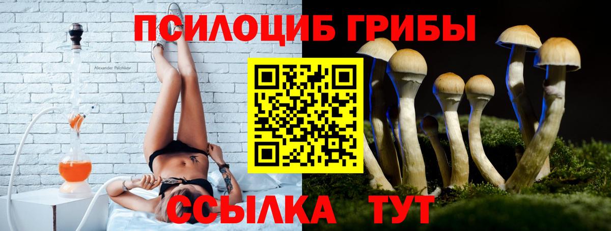 Галлюциногенные грибы Magic Shrooms Кимовск
